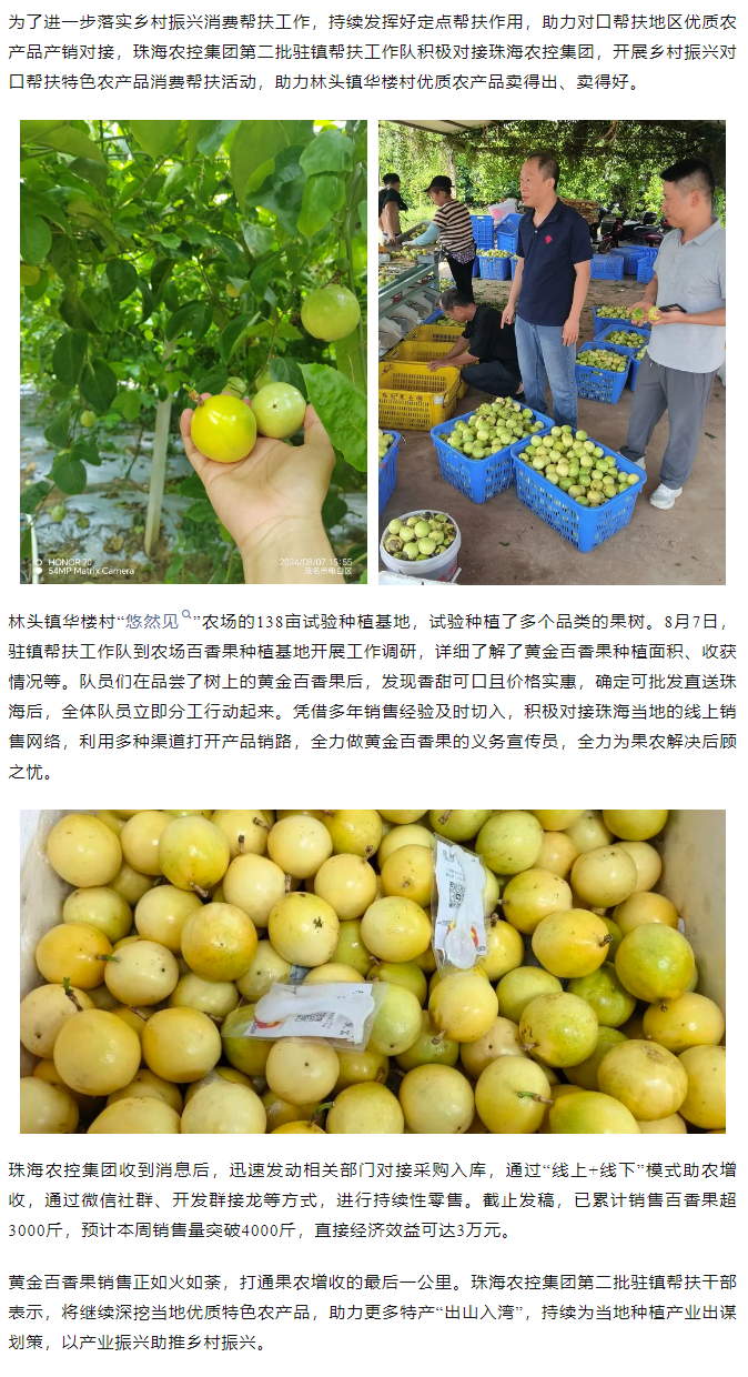 彩神网站网页版集团助力产销对接 对口帮扶果香飘百里.png