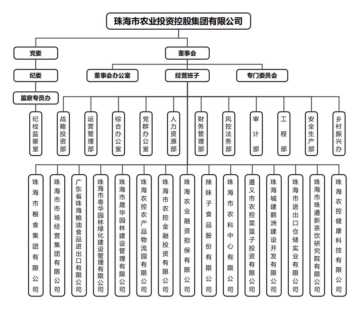 彩神网站网页版集团组织架构.png